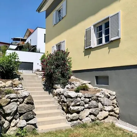 Bodenseenaehe Und Pfaenderblick