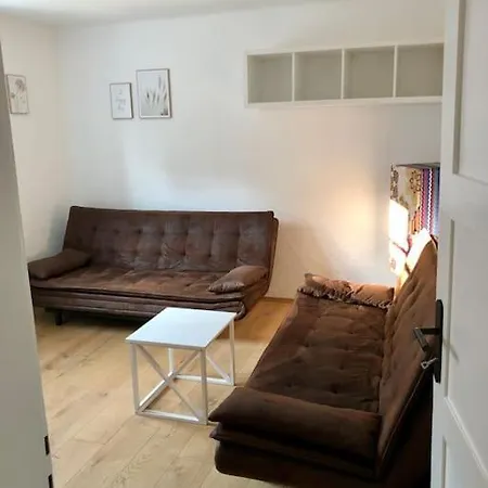 Bodenseenaehe Und Pfaenderblick *